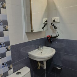 Bathroom with Mirror Cabinet, Hair Dryer