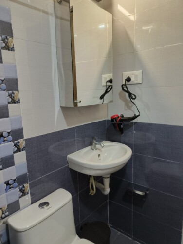 Bathroom with Mirror Cabinet, Hair Dryer