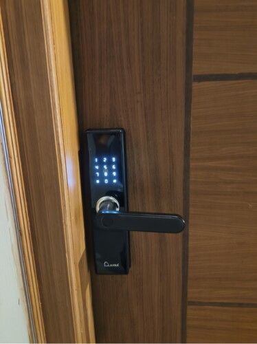 Smart Door Lock for Self Check-in