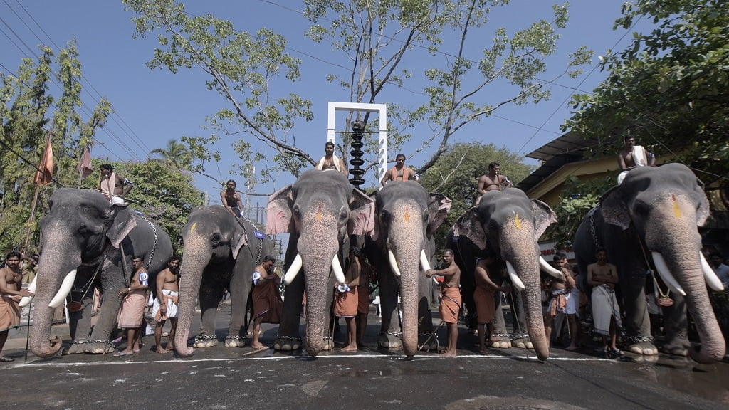 Guruvayur Aanayottam